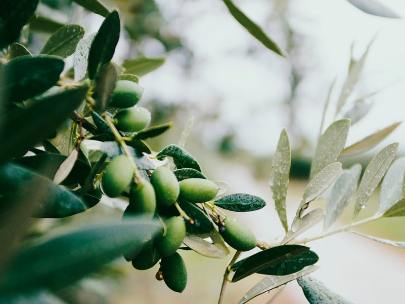 Introducing Taralinga Estate