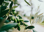 Introducing Taralinga Estate