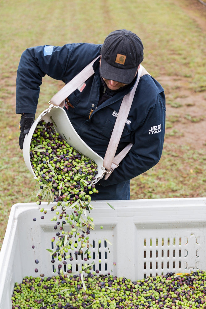 Gold at the Australian Food Awards